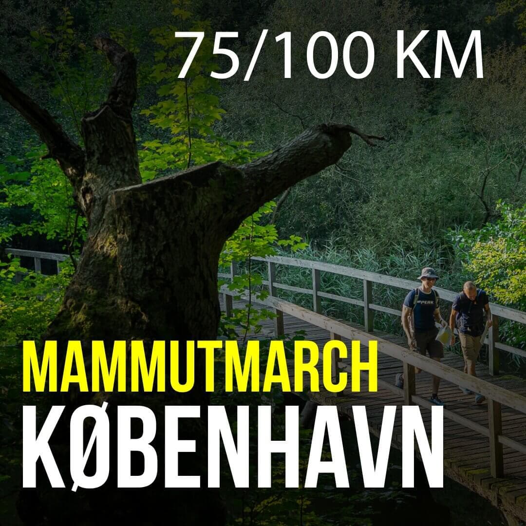 Mammutmarch - København - 75/100 KM